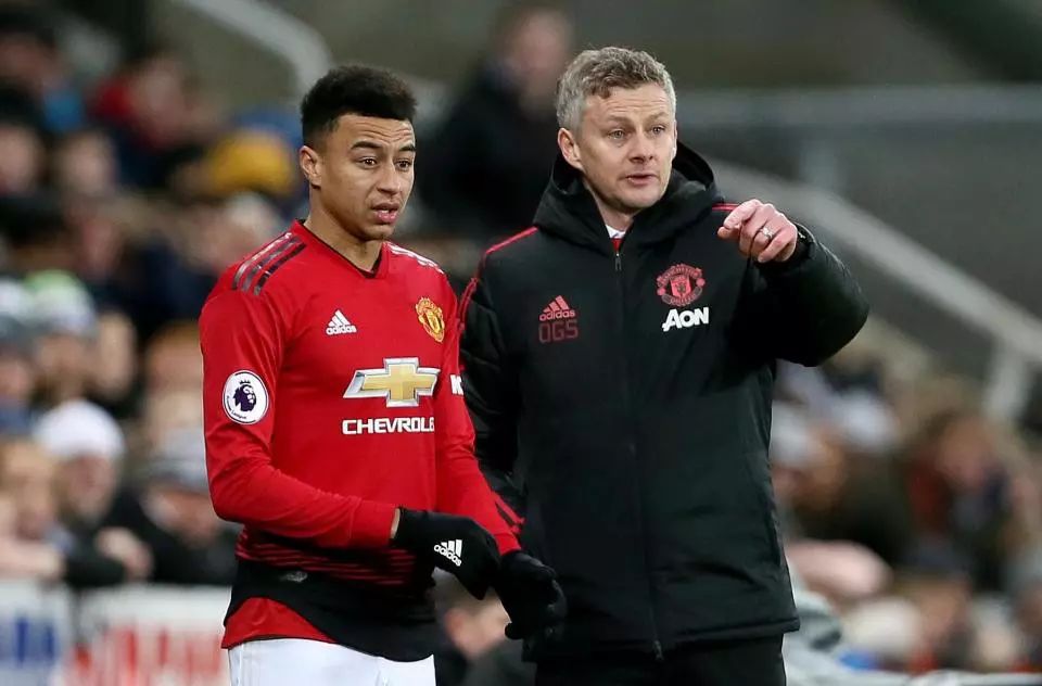 球队青训体 球队青训体